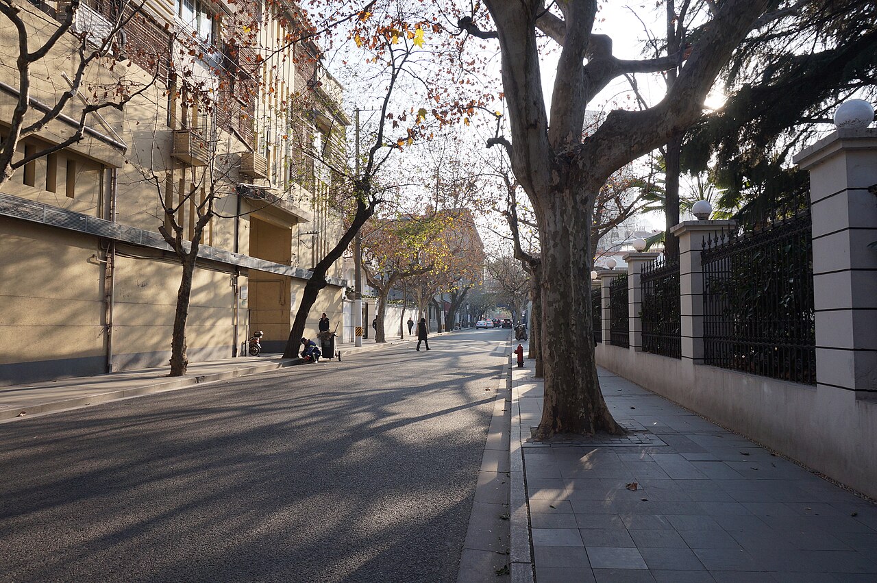 Plane-tree streets of the former French Concession, Shanghai